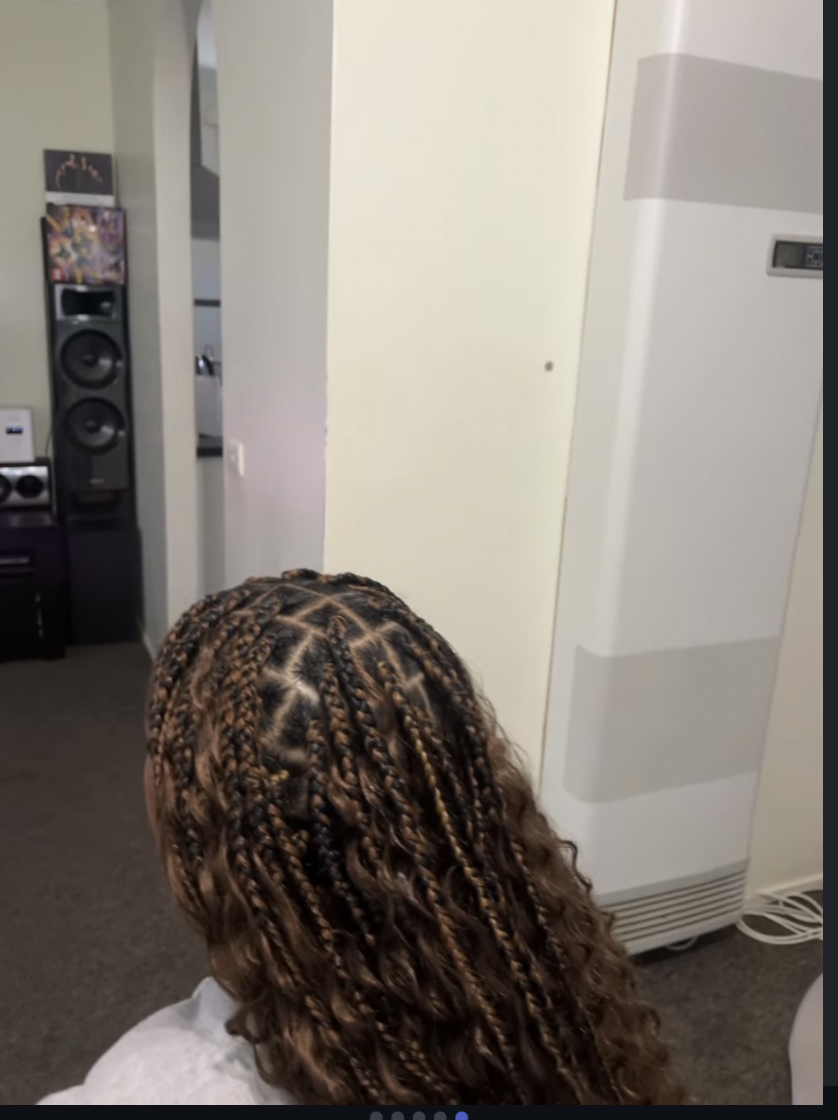 Braids and hairstyle by Hair Done by Layy